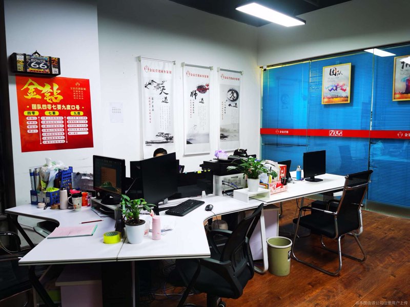 商务信息咨询行业的趋势与展望